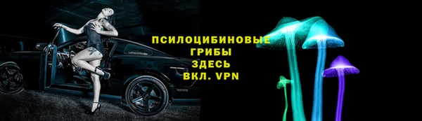 экстази Арсеньев