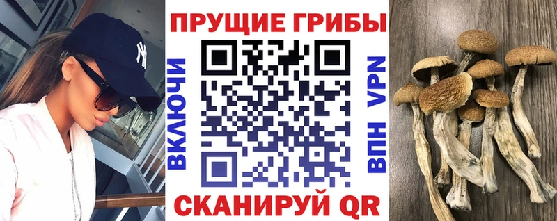 Псилоцибиновые грибы ЛСД  Сарапул 